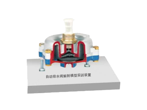 自動排水閥解剖模型實訓(xùn)裝置